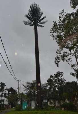برج آنتن لوله ای موبایل Pine Tree برای مخابرات